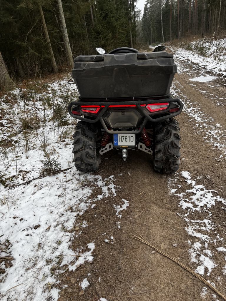 dauztu keturraciu supirkimas